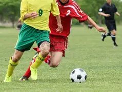 哈德森达新,高度,独木难支英,英皇娱乐官网,英皇娱乐官网在线娱乐平台